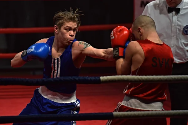 Fuerte luchador y su oponente durante una pelea en un ring Combat Fight Night — Foto de Stock