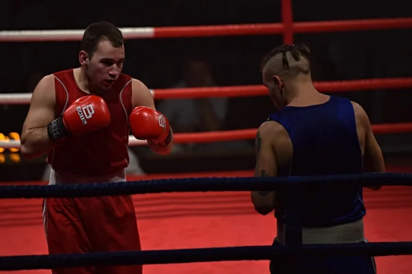 Fuerte luchador y su oponente durante una pelea en un ring Combat Fight Night —  Fotos de Stock