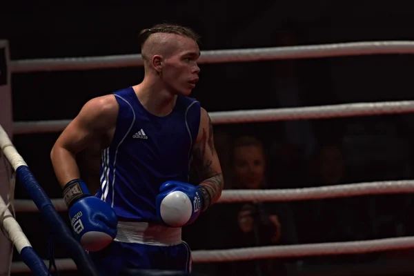 Strong fighter during a fight in a ring Combat Fight Night — Stock Photo, Image