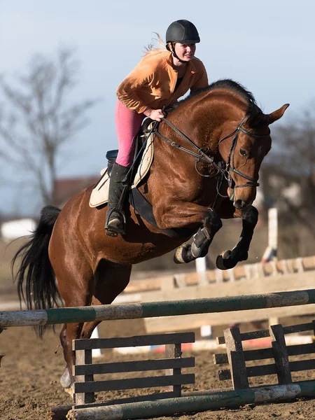 Femme débarrassant son cheval — Photo