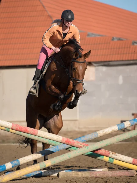 Kvinnan befria sin häst — Stockfoto