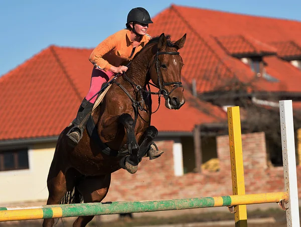 Onun atı ridding kadın — Stok fotoğraf