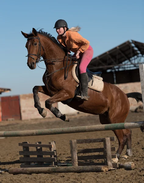 Vrouw haar paard bevrijden Stockafbeelding