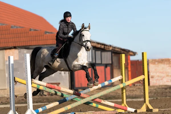 Caballo en competición de salto — Foto de Stock