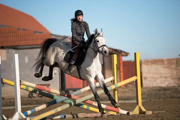 Paard op springconcours — Stockfoto