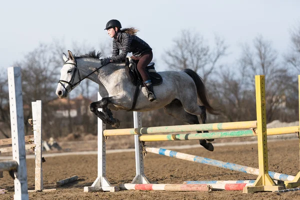 Horse at jumping competition — Stock Photo, Image