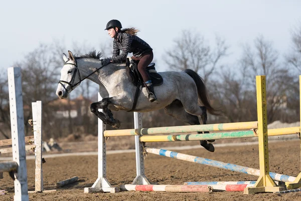 Paard op springconcours — Stockfoto