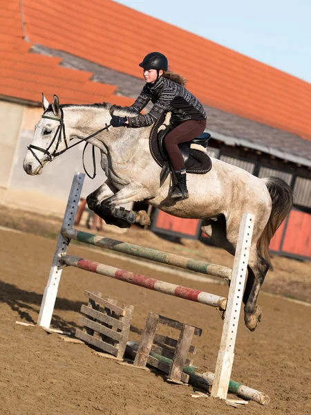 Конь на соревнованиях по прыжкам — стоковое фото