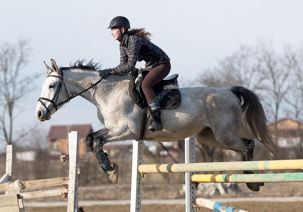 Horse at jumping competition