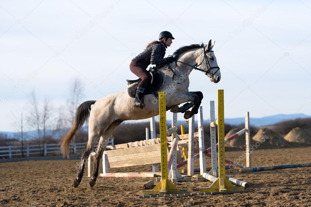 Horse at jumping competition