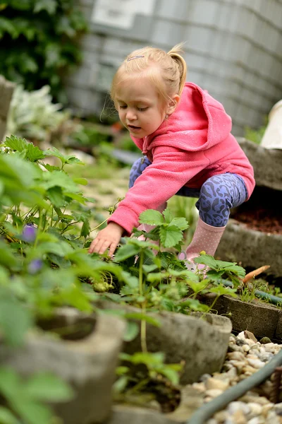 Schattige kleine meisje plukken aardbeien — Stockfoto