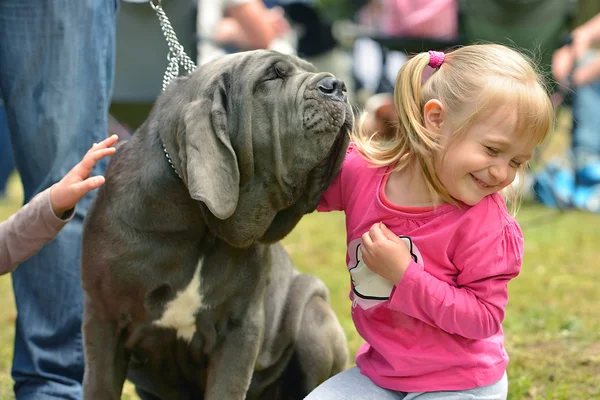 Krásná dívka s mladých pes těší — Stock fotografie