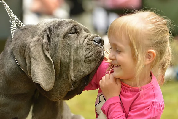 Menina bonita com um cachorro grande — Fotografia de Stock