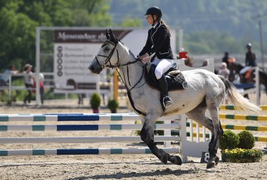 gösteri atlayarak at