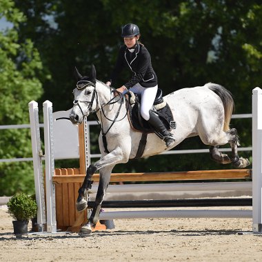 gösteri atlayarak at