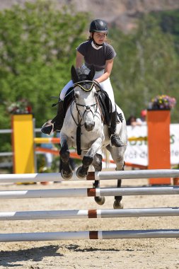 gösteri atlayarak at