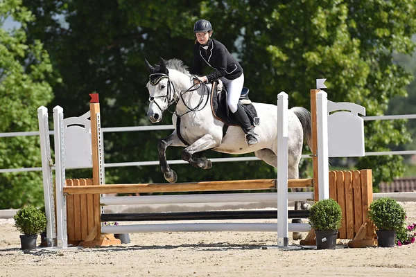 Horse jumping show — Stock Photo, Image