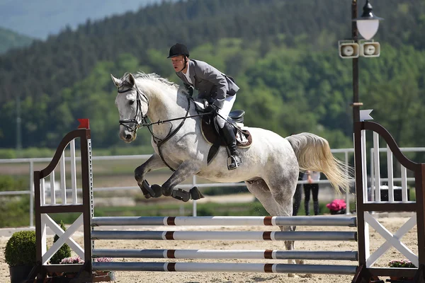 Salto de cavalo show — Fotografia de Stock