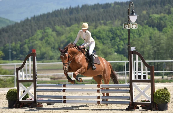 Paard springen Toon — Stockfoto