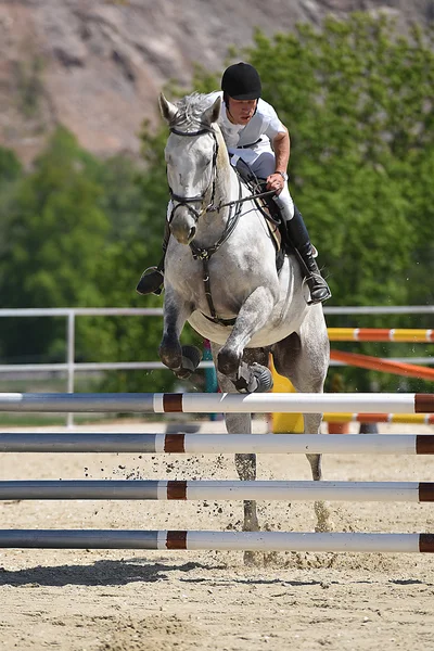 Espectáculo de salto de caballo —  Fotos de Stock
