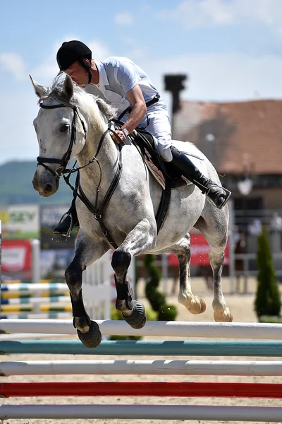 Salto de cavalo show — Fotografia de Stock