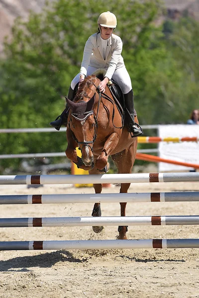 Espectáculo de salto de caballo — Foto de Stock