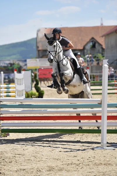 Espectáculo de salto de caballo — Foto de Stock