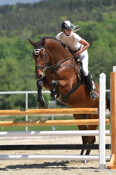 Salto de cavalo show — Fotografia de Stock