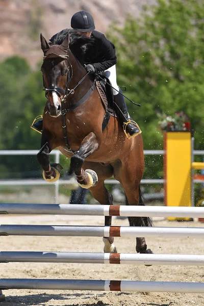 Spectacle de saut à cheval — Photo