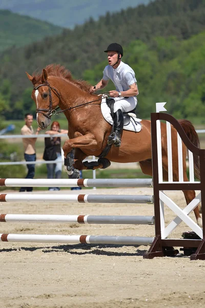 Salto de cavalo show — Fotografia de Stock