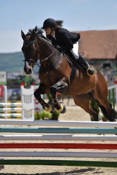 Horse jumping show — Fotografie, imagine de stoc