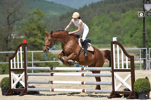 Spectacle de saut à cheval — Photo