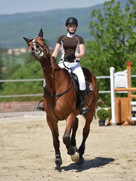 Espectáculo de salto de caballo — Foto de Stock