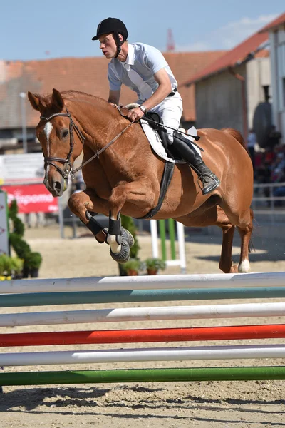 Spectacle de saut à cheval — Photo