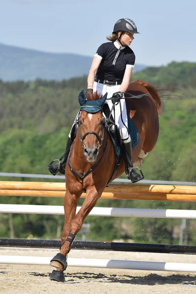 Espectáculo de salto de caballo — Foto de Stock