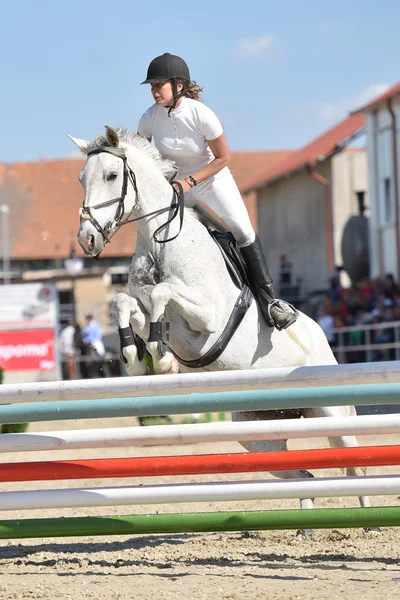 Horse jumping show — Stock Photo, Image