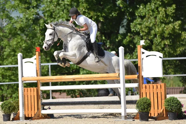 Espectáculo de salto de caballo — Foto de Stock