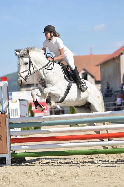 Salto a cavallo spettacolo — Foto Stock