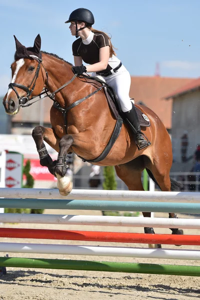 Salto a cavallo spettacolo — Foto Stock