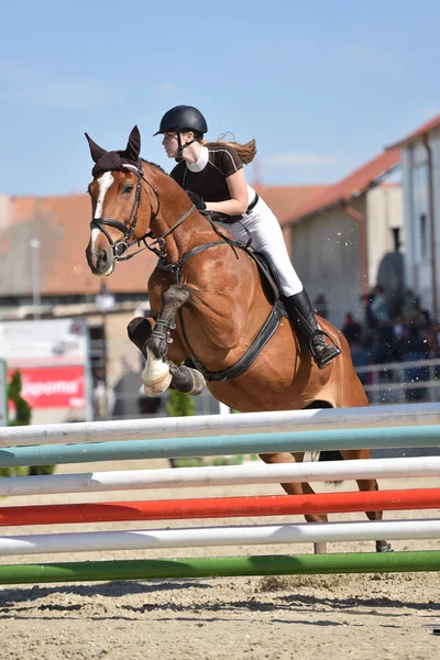 Salto a cavallo spettacolo — Foto Stock