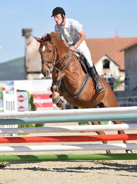 Spectacle de saut à cheval — Photo