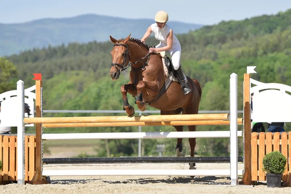 Salto de cavalo show — Fotografia de Stock