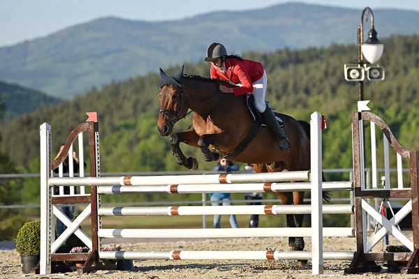 Spectacle de saut à cheval — Photo