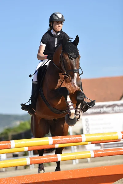 Horse jumping show — Stock Photo, Image