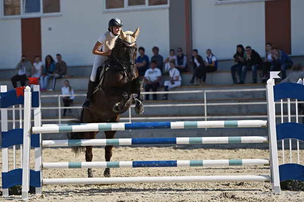 Salto a cavallo spettacolo — Foto Stock