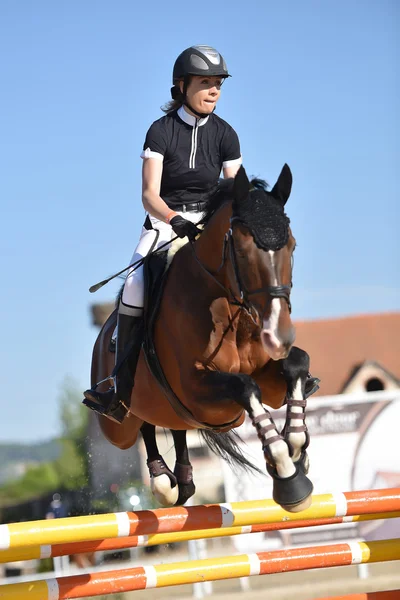 Espectáculo de salto de caballo —  Fotos de Stock