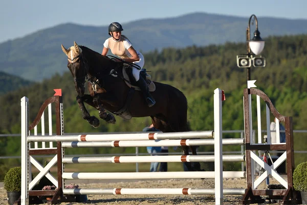 Horse jumping show — Stock Photo, Image