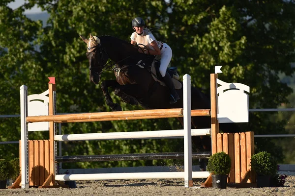 Spectacle de saut à cheval — Photo