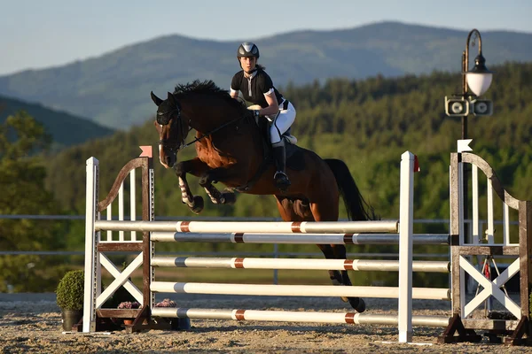 Salto a cavallo spettacolo — Foto Stock