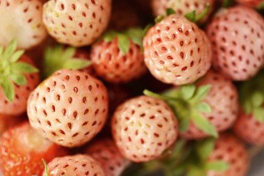 pineberry yakın çekim